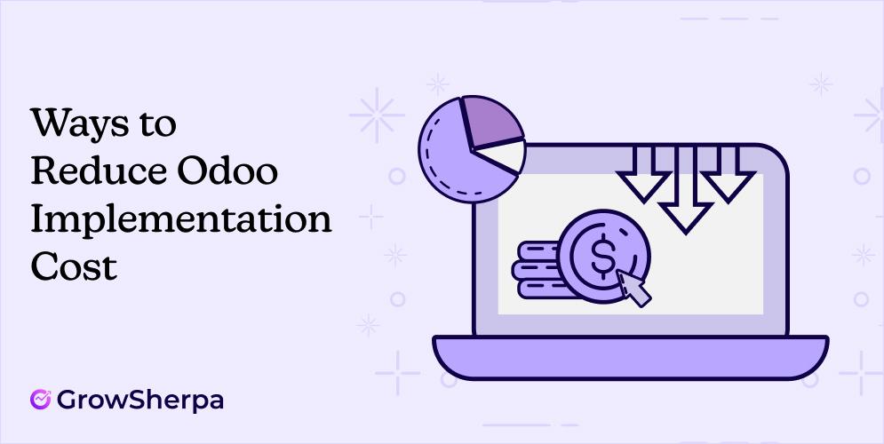 Ways to Reduce Odoo Implementation Cost